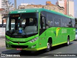 Pássaro Verde 19171 na cidade de Belo Horizonte, Minas Gerais, Brasil, por Adão Raimundo Marcelino. Número da foto: #7320103.