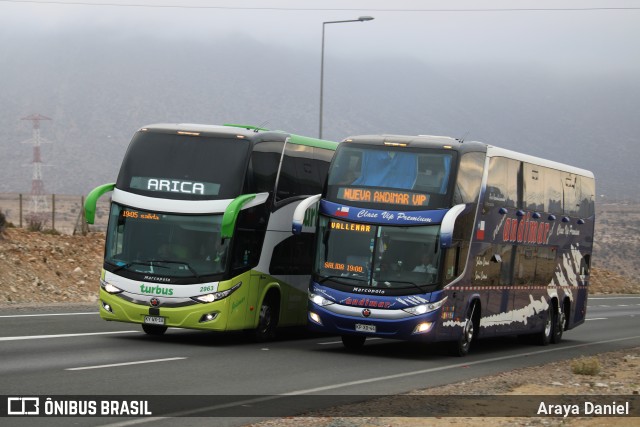 TurBus 2963 na cidade de La Serena, Elqui, Coquimbo, Chile, por Araya Daniel . Número da foto: #7321287.