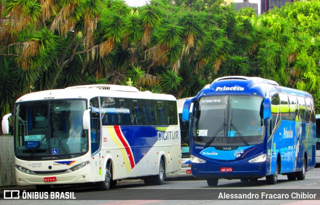 Princesa do Norte 43433 na cidade de Curitiba, Paraná, Brasil, por Alessandro Fracaro Chibior. Número da foto: #7321158.