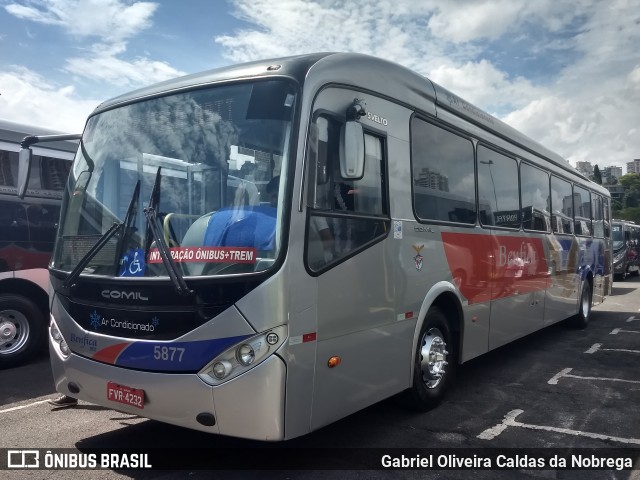 BBTT - Benfica Barueri Transporte e Turismo 5877 na cidade de São Paulo, São Paulo, Brasil, por Gabriel Oliveira Caldas da Nobrega. Número da foto: #7322755.