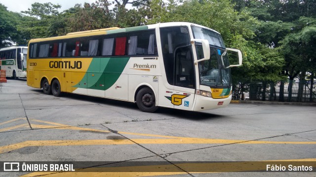 Empresa Gontijo de Transportes 12310 na cidade de São Paulo, São Paulo, Brasil, por Fábio Santos. Número da foto: #7323990.