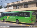 Pássaro Verde 19172 na cidade de Itabirito, Minas Gerais, Brasil, por Daniel Junior Sena. Número da foto: #7325298.