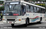 VIPE - Viação Padre Eustáquio 9791 na cidade de São Paulo, São Paulo, Brasil, por Carlos Júnior. Número da foto: #7325263.