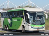Pássaro Verde 11105 na cidade de Brasília, Distrito Federal, Brasil, por Agnel Gomes. Número da foto: #:id.