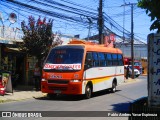 Trans Cebra 15 na cidade de Santa Cruz, Colchagua, Libertador General Bernardo O'Higgins, Chile, por Pablo Andres Yavar Espinoza. Número da foto: #7328339.