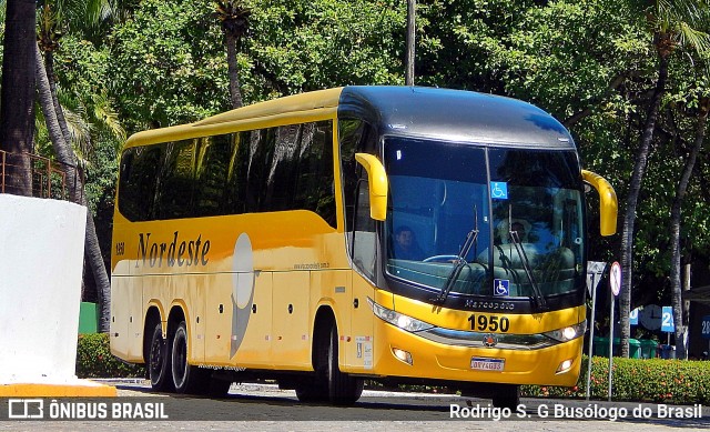 Viação Nordeste 1950 na cidade de Fortaleza, Ceará, Brasil, por Rodrigo S. G Busólogo do Brasil. Número da foto: #7334380.