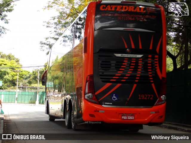 Catedral Turismo 19272 na cidade de São Paulo, São Paulo, Brasil, por Whitiney Siqueira. Número da foto: #7333946.