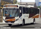 Erig Transportes > Gire Transportes B63017 na cidade de Rio de Janeiro, Rio de Janeiro, Brasil, por André Neves . Número da foto: #7334358.