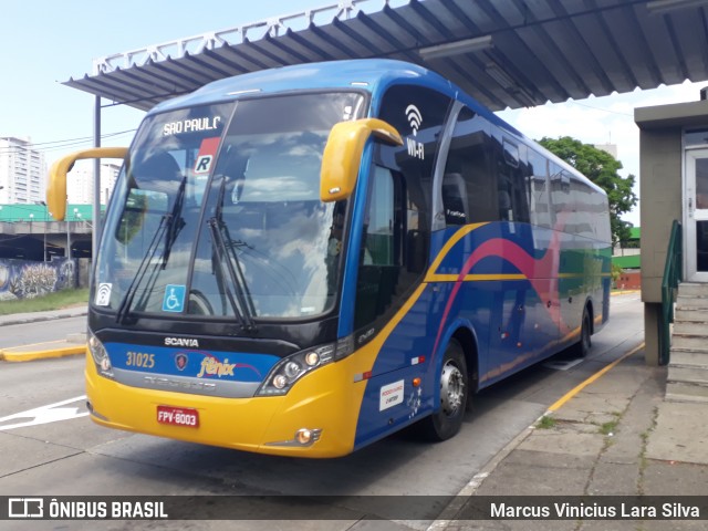 Rápido Expresso Fênix Viação 31025 na cidade de São Paulo, São Paulo, Brasil, por Marcus Vinicius Lara Silva. ID da foto: 7336638.