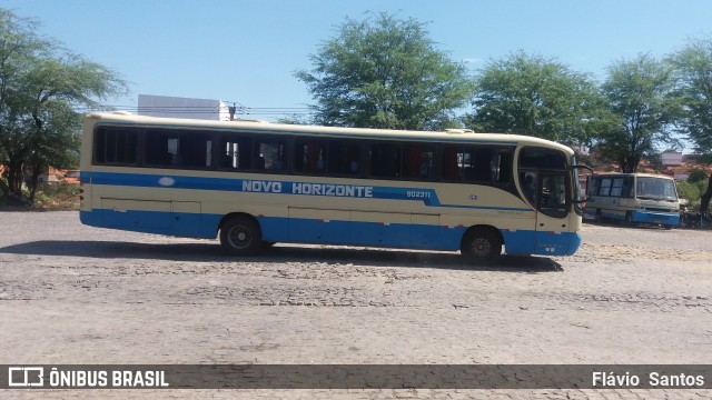 Viação Novo Horizonte 902311 na cidade de Brumado, Bahia, Brasil, por Flávio  Santos. ID da foto: 7287872.