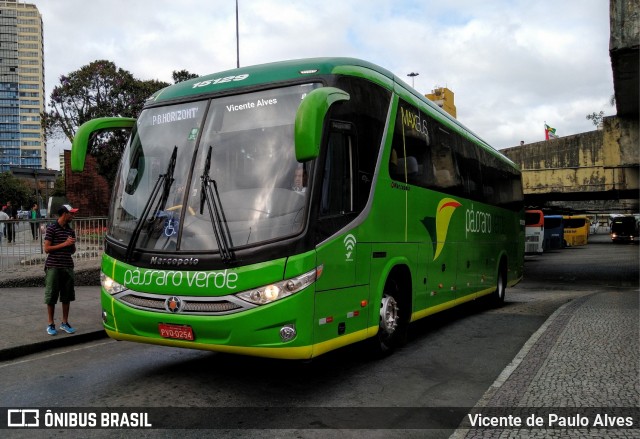Pássaro Verde 15129 na cidade de Belo Horizonte, Minas Gerais, Brasil, por Vicente de Paulo Alves. Número da foto: #7287544.