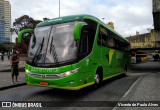 Pássaro Verde 15129 na cidade de Belo Horizonte, Minas Gerais, Brasil, por Vicente de Paulo Alves. Número da foto: #7287544.