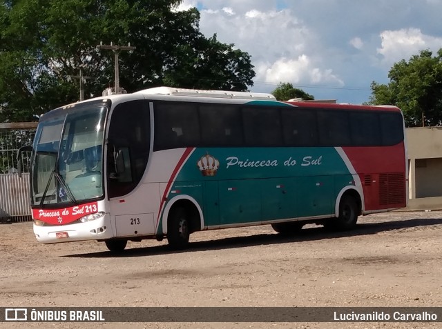 Empresa Expresso Princesa do Sul 213 na cidade de Teresina, Piauí, Brasil, por Lucivanildo Carvalho. ID da foto: 7341212.