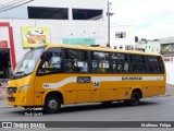 Transporte Suplementar de Belo Horizonte 975 na cidade de Belo Horizonte, Minas Gerais, Brasil, por Matheus  Felipe. Número da foto: #7345601.