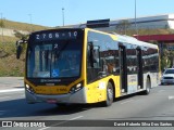 VIP - Unidade Itaim Paulista 3 1050 na cidade de São Paulo, São Paulo, Brasil, por David Roberto Silva Dos Santos. Número da foto: #:id.
