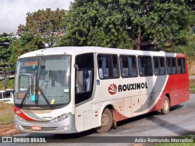 Rouxinol 345 na cidade de Belo Horizonte, Minas Gerais, Brasil, por Adão Raimundo Marcelino. Número da foto: #7361008.