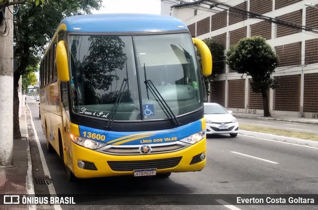 Viação Lírio dos Vales 13600 na cidade de Vitória, Espírito Santo, Brasil, por Everton Costa Goltara. ID da foto: 7358759.