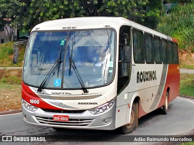 Rouxinol 1800 na cidade de Belo Horizonte, Minas Gerais, Brasil, por Adão Raimundo Marcelino. Número da foto: #7360975.
