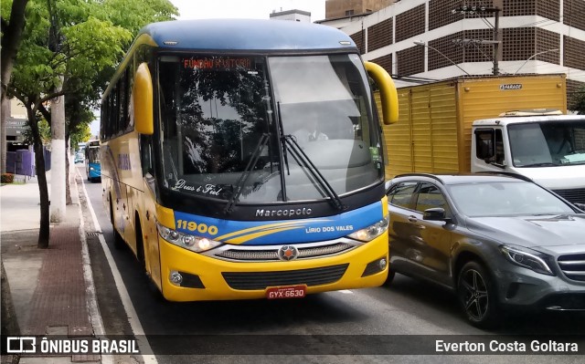Viação Lírio dos Vales 11900 na cidade de Vitória, Espírito Santo, Brasil, por Everton Costa Goltara. Número da foto: #7358732.