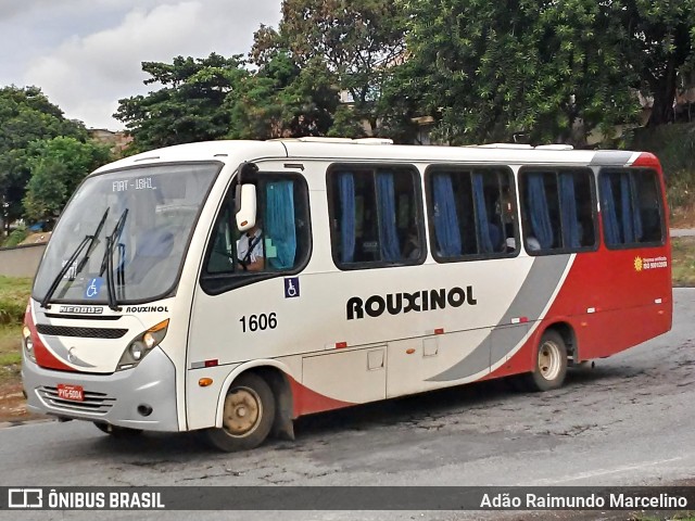 Rouxinol 1606 na cidade de Belo Horizonte, Minas Gerais, Brasil, por Adão Raimundo Marcelino. ID da foto: 7360947.