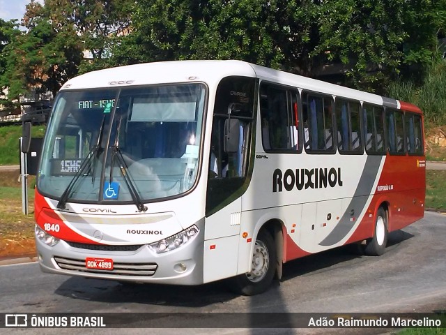 Rouxinol 1840 na cidade de Belo Horizonte, Minas Gerais, Brasil, por Adão Raimundo Marcelino. ID da foto: 7360990.