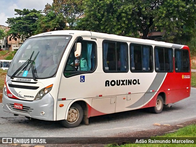 Rouxinol 1630 na cidade de Belo Horizonte, Minas Gerais, Brasil, por Adão Raimundo Marcelino. Número da foto: #7360960.