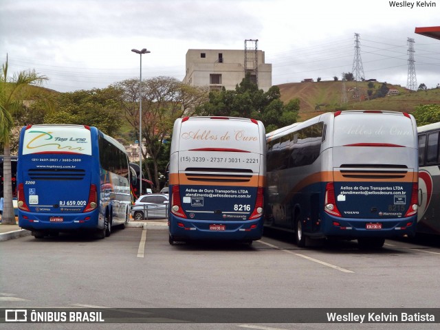 Bia Turismo > Aellos de Ouro 8216 na cidade de Aparecida, São Paulo, Brasil, por Weslley Kelvin Batista. Número da foto: #7362734.