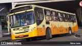 Independência > Trans Oeste Transportes 30644 na cidade de Belo Horizonte, Minas Gerais, Brasil, por Edmar Junio. Número da foto: #:id.