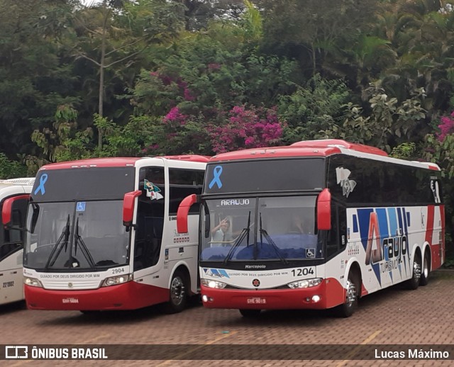 Araújo Turismo 1204 na cidade de Brumadinho, Minas Gerais, Brasil, por Lucas Máximo. Número da foto: #7368620.