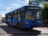 Independência > Trans Oeste Transportes 10529 na cidade de Belo Horizonte, Minas Gerais, Brasil, por Júlio César. ID da foto: :id.