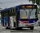 Trans Bus Transportes Coletivos 229 na cidade de São Bernardo do Campo, São Paulo, Brasil, por Matheus dos Anjos Silva. ID da foto: :id.