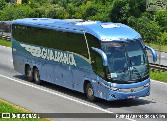 Viação Águia Branca 13514 na cidade de Santa Isabel, São Paulo, Brasil, por Rudnei Aparecido da Silva. Número da foto: #7375602.