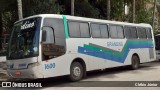 Grandino Transportes 1600 na cidade de São Paulo, São Paulo, Brasil, por Clébio Júnior. Número da foto: #7376399.