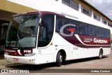 Expresso Gardenia 3115 na cidade de Lavras, Minas Gerais, Brasil, por Andrey Gustavo. Número da foto: #7375866.