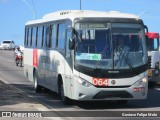 Borborema Imperial Transportes 064 na cidade de Recife, Pernambuco, Brasil, por Gustavo Felipe Melo. Número da foto: #7376460.