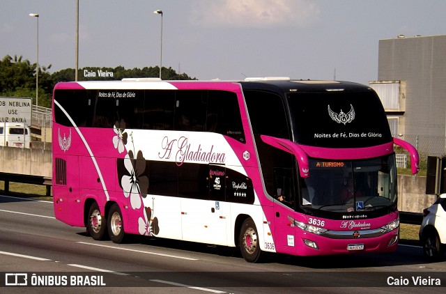 A Gladiadora Turismo 3636 na cidade de Barueri, São Paulo, Brasil, por Caio Vieira. Número da foto: #7381535.