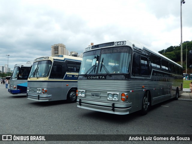 Ônibus Particulares 6463 na cidade de São Paulo, São Paulo, Brasil, por André Luiz Gomes de Souza. ID da foto: 7380585.