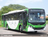 VB Transportes e Turismo 3333 na cidade de Campinas, São Paulo, Brasil, por Celso Gomes. ID da foto: :id.