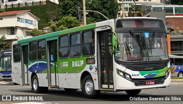 Ralip Transportes Rodoviários 3001 na cidade de São Paulo, São Paulo, Brasil, por Cristiano Soares da Silva. ID da foto: 7293285.