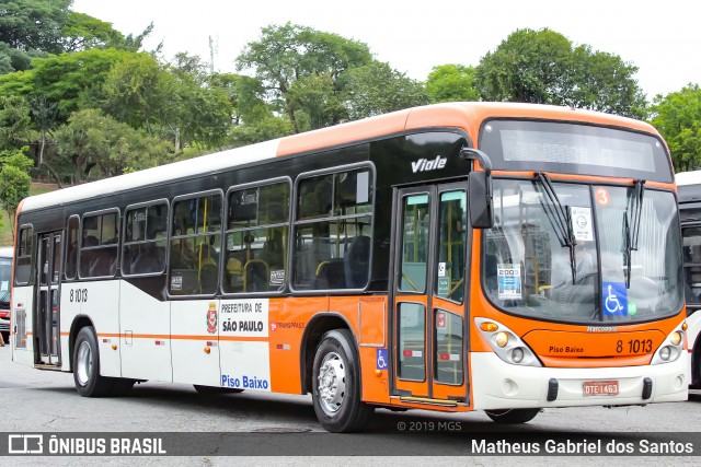 TRANSPPASS - Transporte de Passageiros 8 1013 na cidade de São Paulo, São Paulo, Brasil, por Matheus Gabriel dos Santos. Número da foto: #7295632.