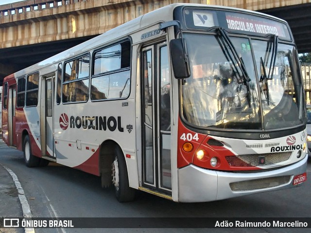 Rouxinol 404 na cidade de Contagem, Minas Gerais, Brasil, por Adão Raimundo Marcelino. Número da foto: #7295224.