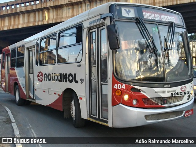 Rouxinol 404 na cidade de Contagem, Minas Gerais, Brasil, por Adão Raimundo Marcelino. ID da foto: 7295224.