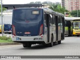 Independência > Trans Oeste Transportes 30872 na cidade de Belo Horizonte, Minas Gerais, Brasil, por Matheus Rocha. Número da foto: #7294757.