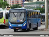 Independência > Trans Oeste Transportes 30805 na cidade de Belo Horizonte, Minas Gerais, Brasil, por Matheus Rocha. Número da foto: #7294604.
