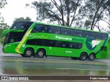 Pássaro Verde 12121 na cidade de Divinópolis, Minas Gerais, Brasil, por Pedro Henrique. Número da foto: #:id.