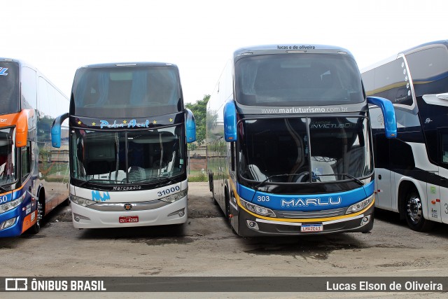 Marlu Turismo 303 na cidade de São Paulo, São Paulo, Brasil, por Lucas Elson de Oliveira. Número da foto: #7298288.