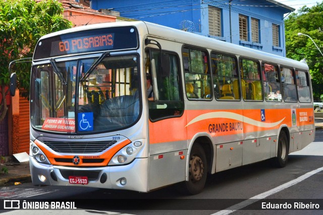 Transportes Coletivos Grande Bauru 2219 na cidade de Bauru, São Paulo, Brasil, por Eduardo Ribeiro. ID da foto: 7295984.