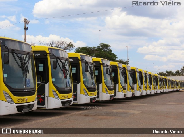 Viação Pioneira 227501 na cidade de Ceilândia, Distrito Federal, Brasil, por Ricardo Vieira. ID da foto: 7299806.