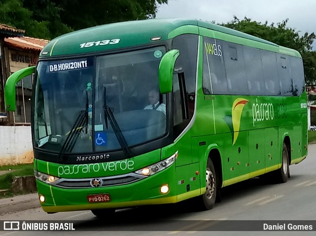 Pássaro Verde 15133 na cidade de Ouro Preto, Minas Gerais, Brasil, por Daniel Gomes. Número da foto: #7303310.