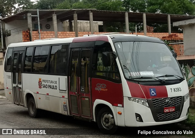 Transwolff Transportes e Turismo 7 8393 na cidade de São Paulo, São Paulo, Brasil, por Felipe Goncalves do Vale. ID da foto: 7306608.